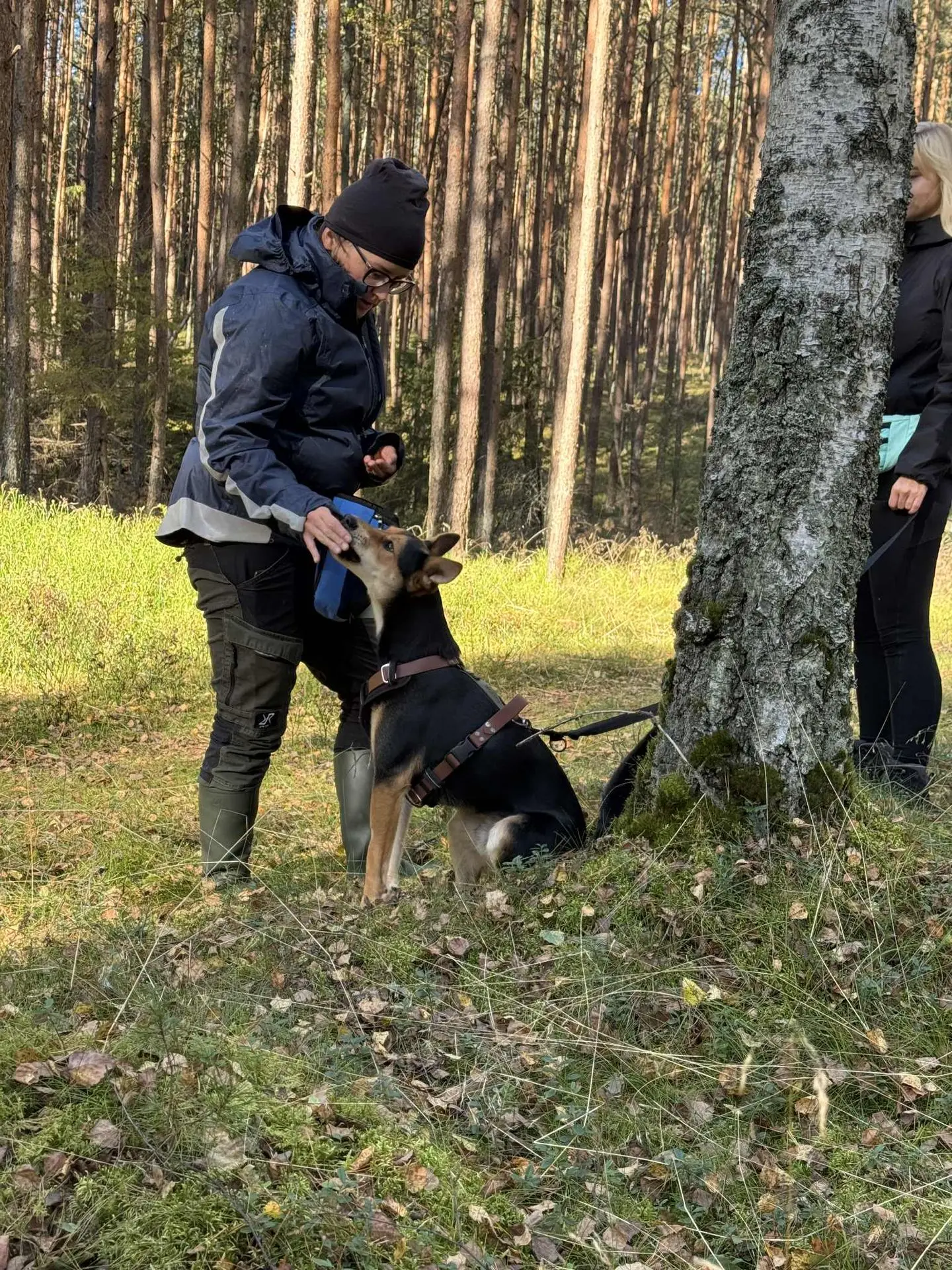 Tropienie użytkowe Psiołączeni